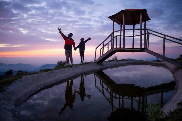 Quels sont les meilleurs itinéraires pour une randonnée à travers les vignobles d'Alsace?